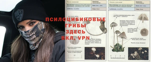 меф Кинешма