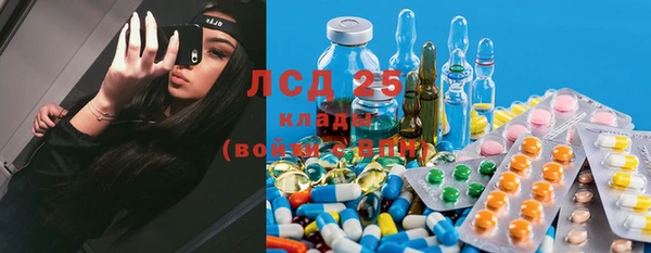 ПСИЛОЦИБИНОВЫЕ ГРИБЫ Киренск