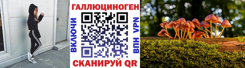 Купить закладки  Горбатов  Галлюциногенные грибы MAGIC MUSHROOMS 