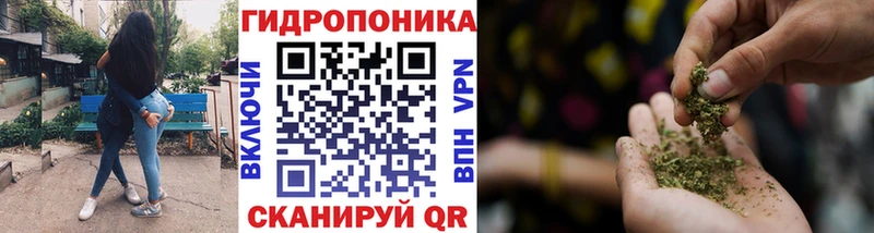 Шишки марихуана гибрид  Купить закладки  Горбатов 